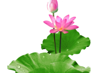 Bài dự thi : Ký ức người lính - NT. Bình Lộc