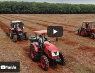 Tổng Công ty Cao su Đồng Nai áp dụng cơ giới hoá, yếu tố hàng đầu để tăng năng suất lao động