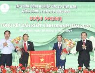 Cao su Đồng Nai đạt kết quả toàn diện năm 2020