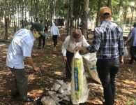 NT. Cẩm Đường các hoạt động tháng công nhân