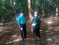 Công đoàn Tổng Công ty thăm tặng quà cho CNLĐ nhân dịp Tháng Công nhân năm 2021