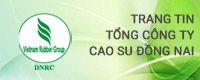 CÔNG TY TNHH MTV TỔNG CÔNG TY CAO SU ĐỒNG NAI